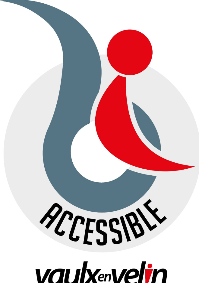 Logo mission accessibilité